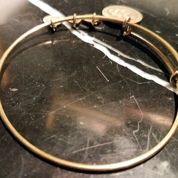 Alex And Ani OM Charm Bangle Bracelet Rafaelian Ru - Picture 6 of 8